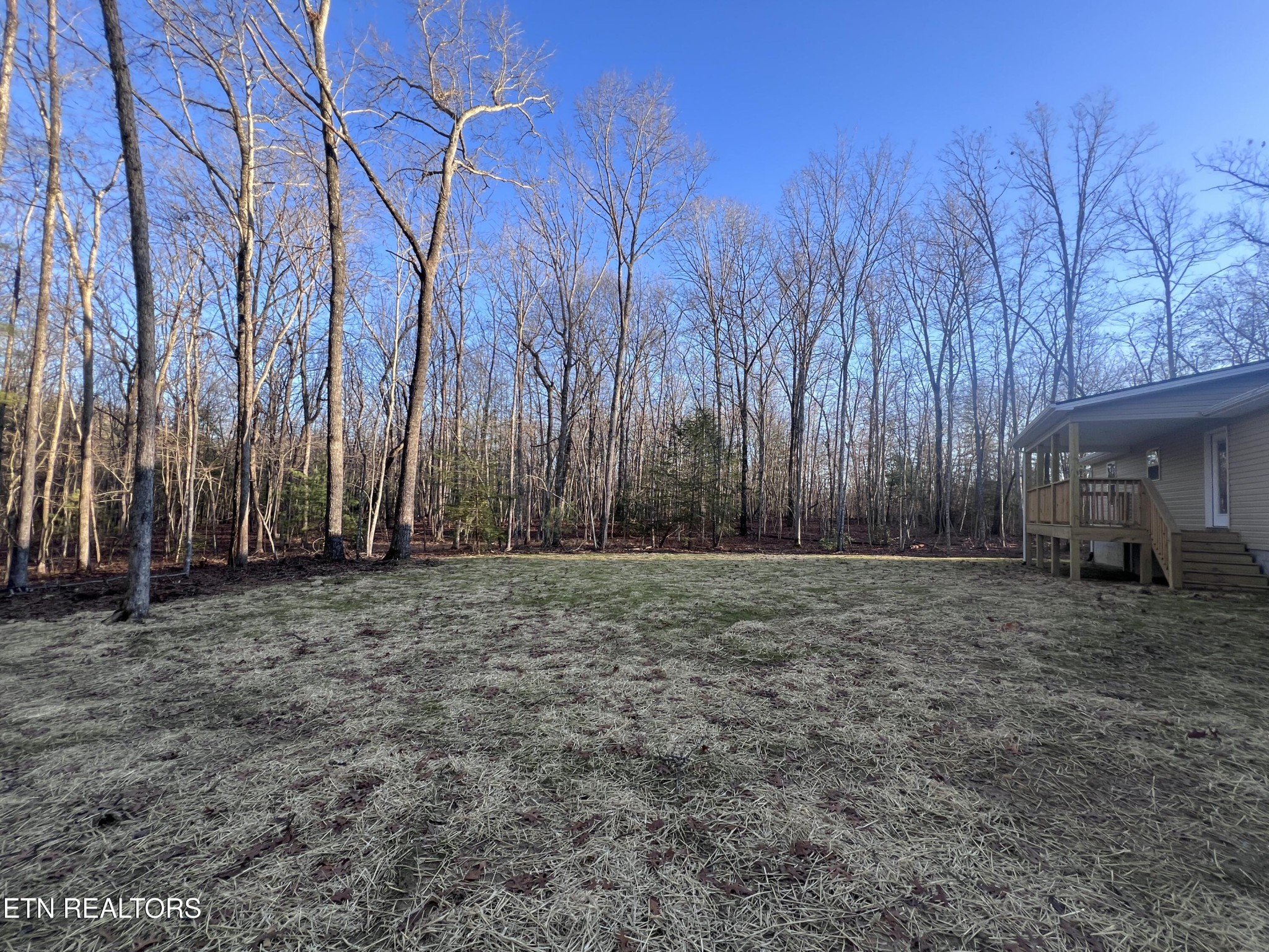 133 Jay Loop Jamestown, TN 38556 - Photo 33 of 33 a view of a backyard with large trees