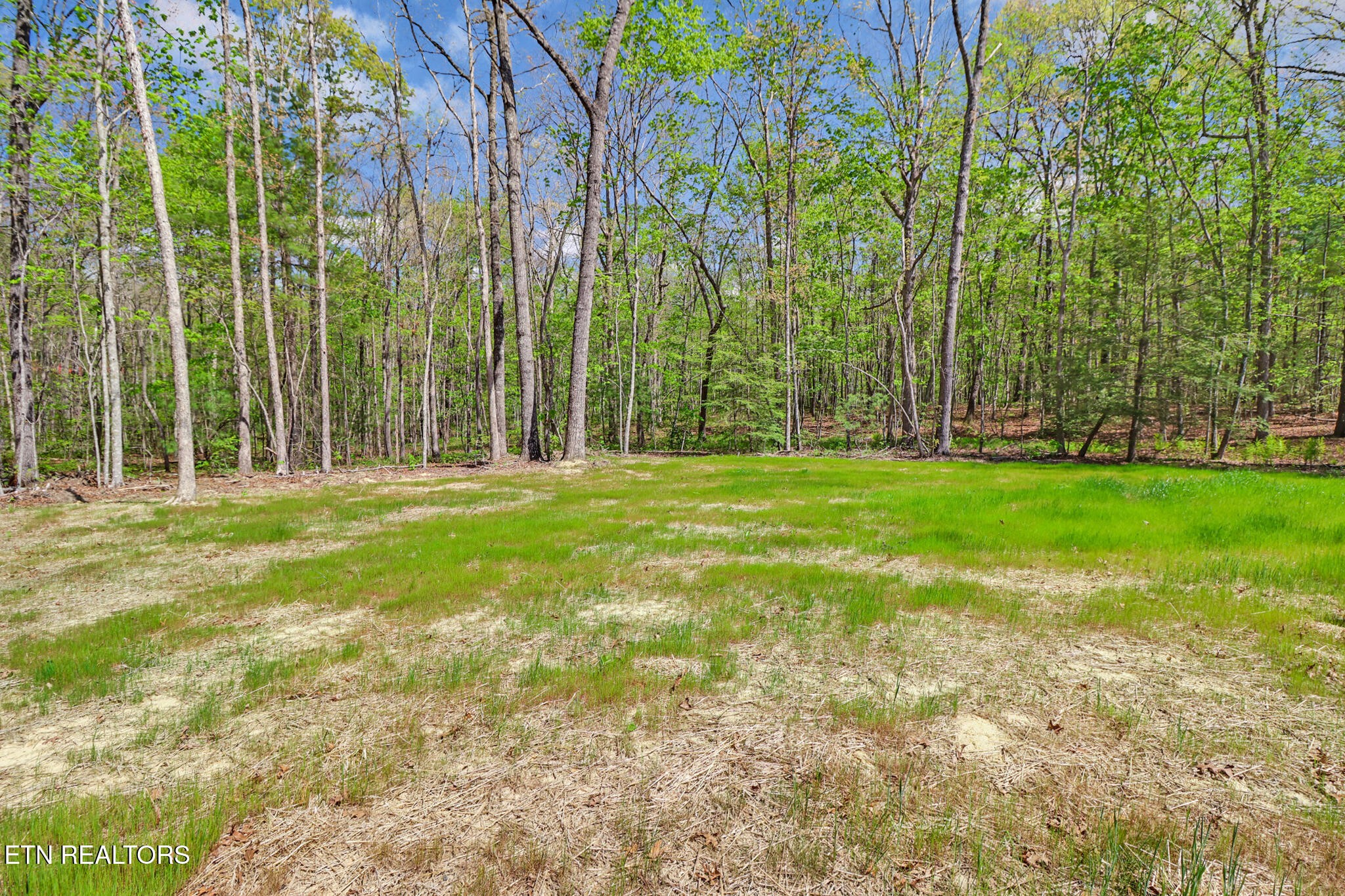 133 Jay Loop Jamestown, TN 38556 - Photo 6 of 39