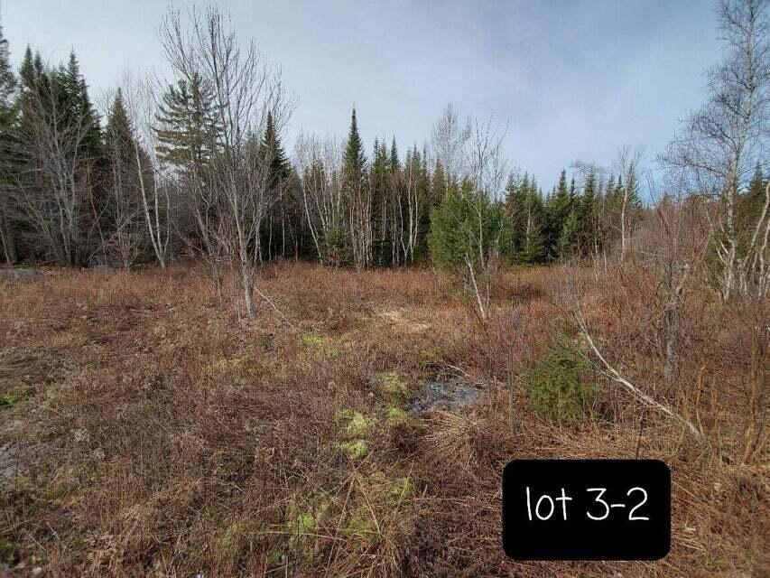 3-2 Black Cow Meadow Road Northfield, ME 04654 - Photo 2 of 26 along road fntg to the northeast