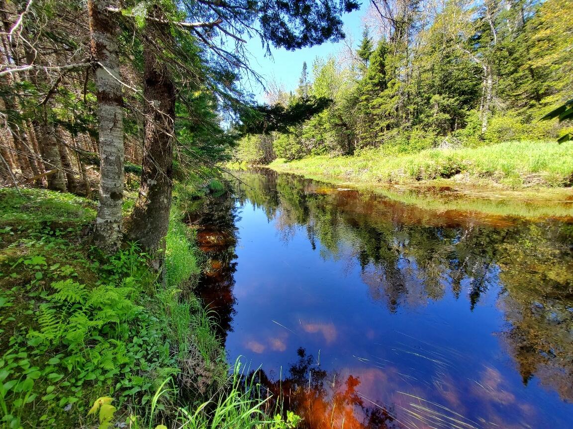 3-2 Black Cow Meadow Road Northfield, ME 04654 - Photo 22 of 26 New STream