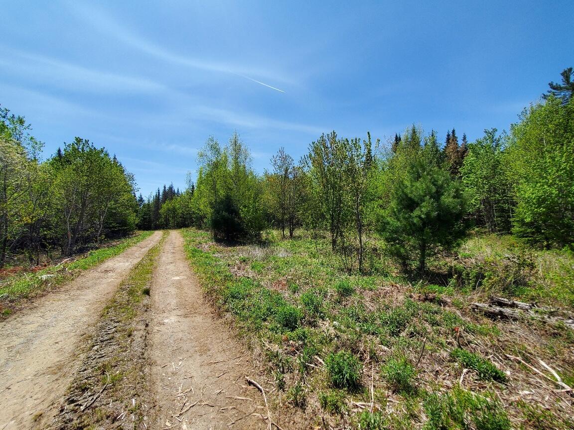 3-2 Black Cow Meadow Road Northfield, ME 04654 - Photo 24 of 26 roads systems