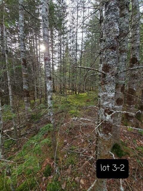 3-2 Black Cow Meadow Road Northfield, ME 04654 - Photo 3 of 26 interior