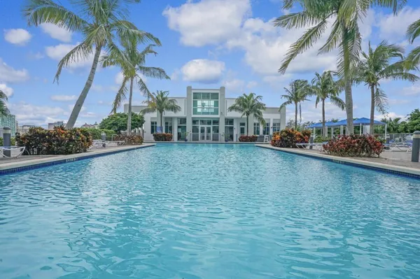 a view of a lake with a palm trees