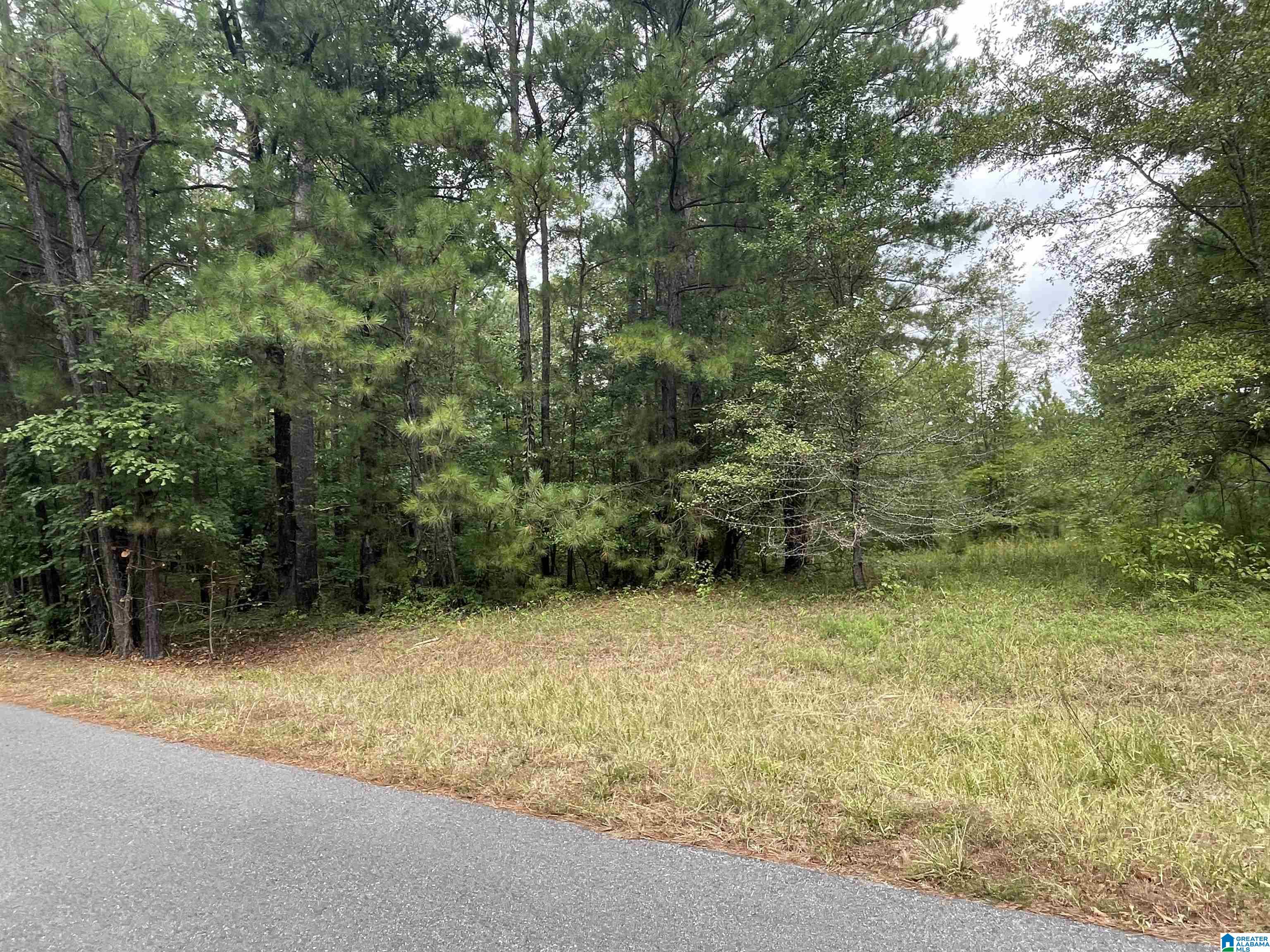 0 Paradise Point Drive Columbiana, AL 35051 - Photo 22 of 23