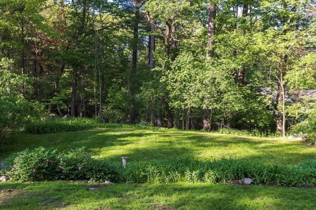 12 Meadowbrook Road Weston, MA 02493 - Photo 28 of 28 a view of a grassy field with trees