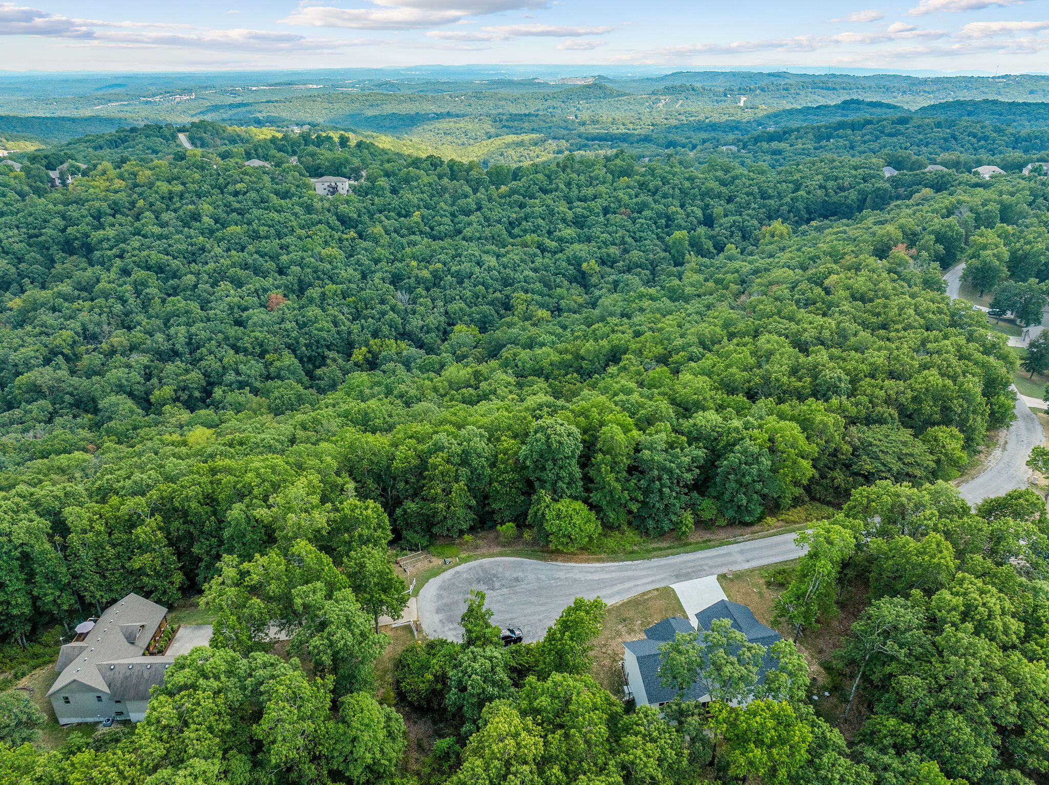 440 North Ridge Place Branson, MO 65616 - Photo 19 of 19 Drone