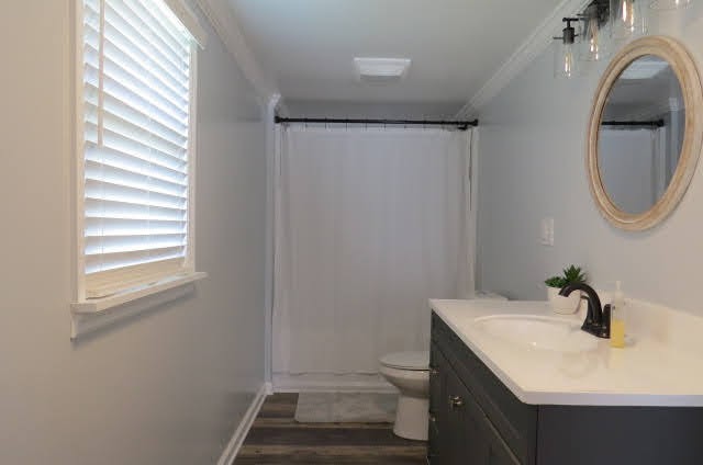 151 Bridy Road Summertown, TN 38483 - Photo 15 of 33 Gallery Image 15