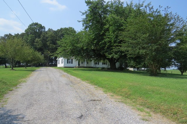 151 Bridy Road Summertown, TN 38483 - Photo 3 of 33 Gallery Image 3
