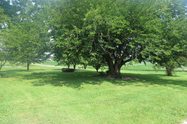 151 Bridy Road Summertown, TN 38483 - Photo 27 of 33 Gallery Image 27