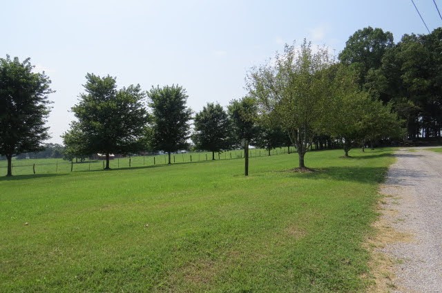 151 Bridy Road Summertown, TN 38483 - Photo 28 of 33 Gallery Image 28