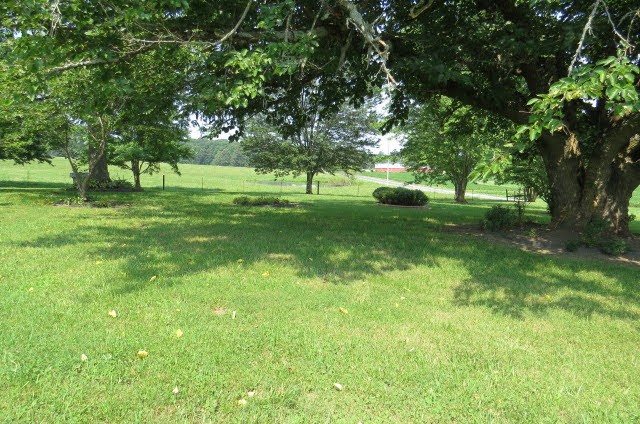 151 Bridy Road Summertown, TN 38483 - Photo 30 of 33 Gallery Image 30