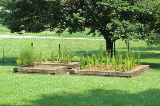 151 Bridy Road Summertown, TN 38483 - Photo 31 of 33 Gallery Image 31