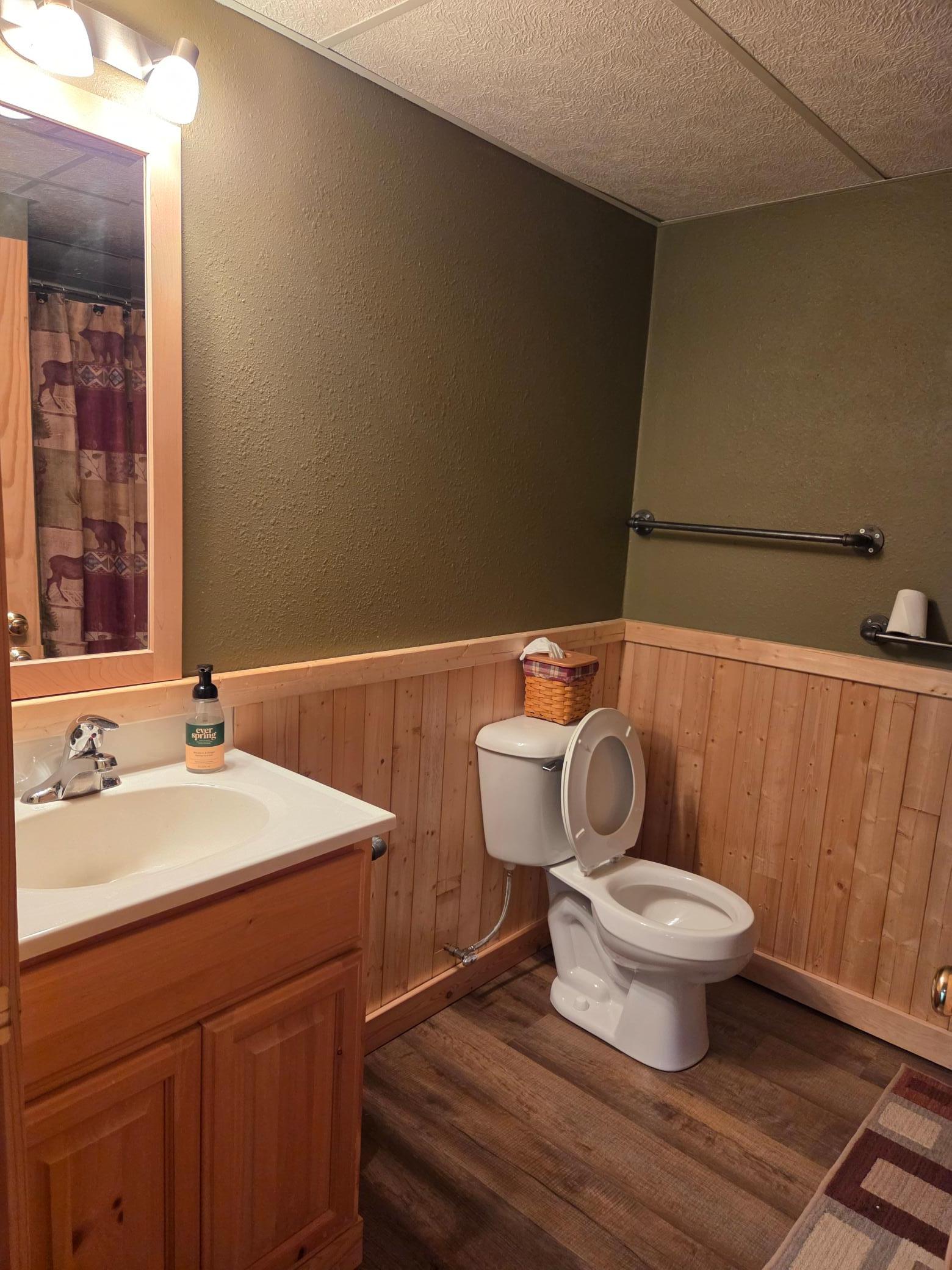 4679 Correll Road Finland, MN 55603 - Photo 33 of 59