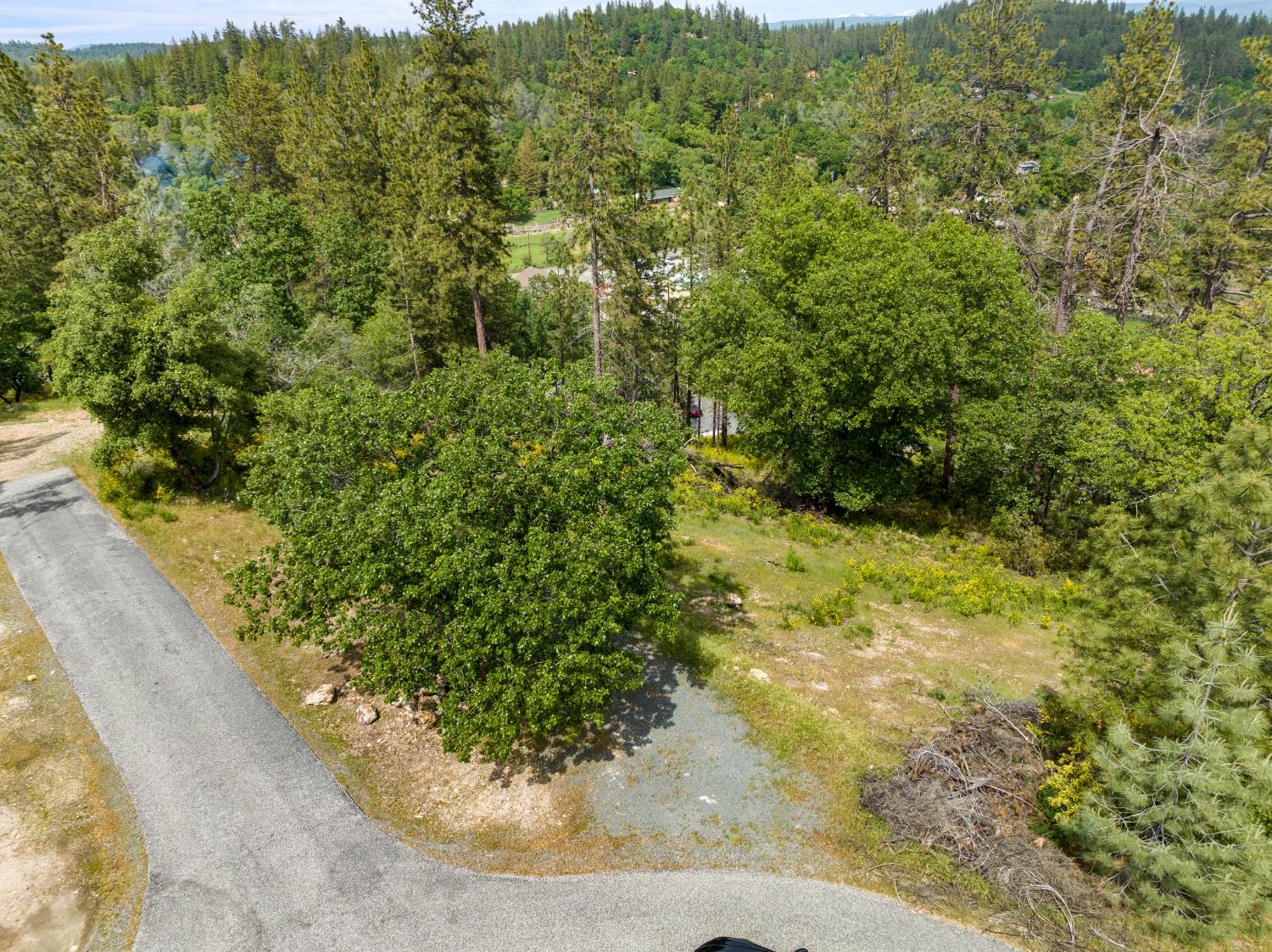 329 Cuckoo Court Applegate, CA 95703 - Photo 22 of 29