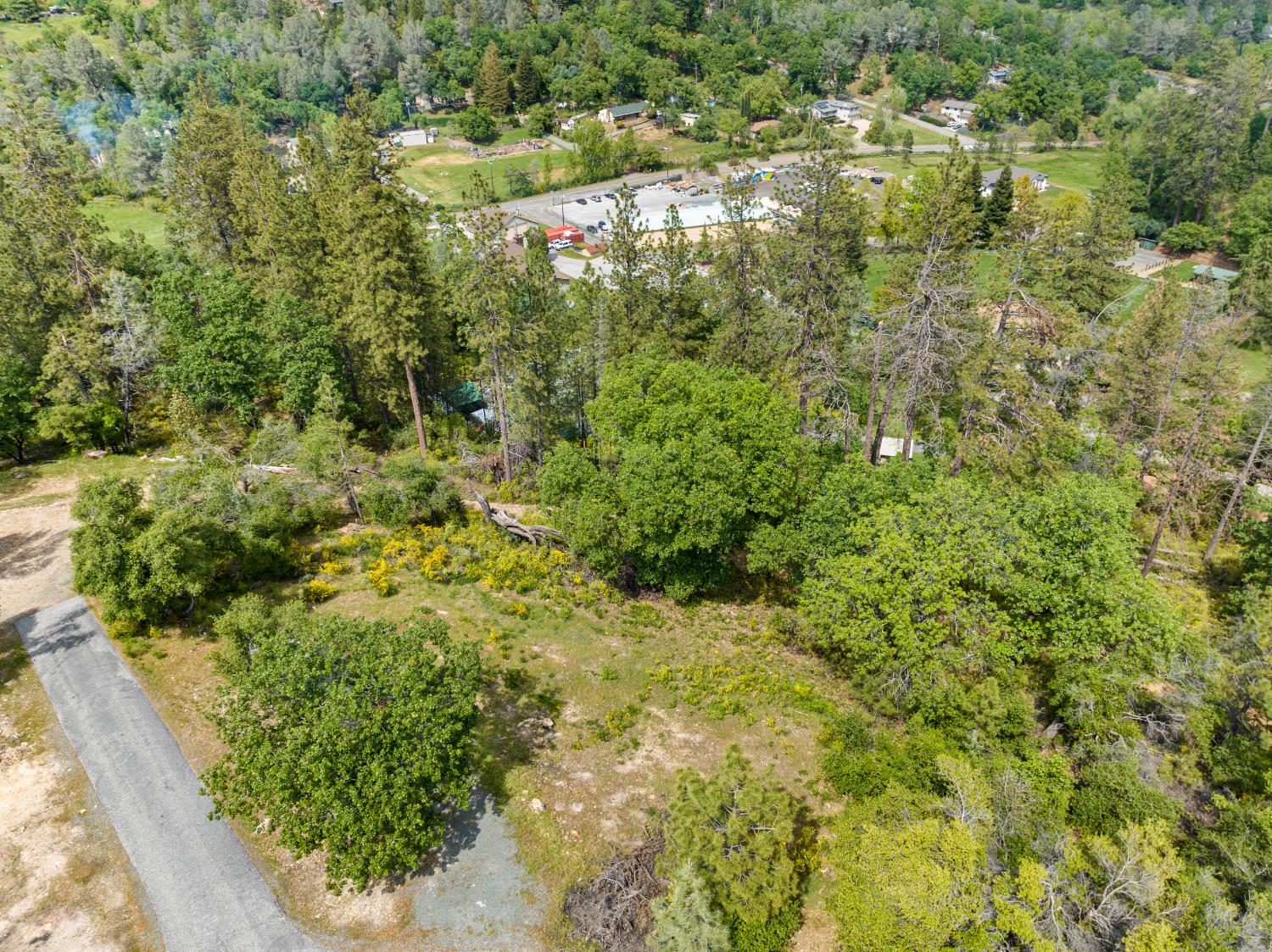 329 Cuckoo Court Applegate, CA 95703 - Photo 23 of 29