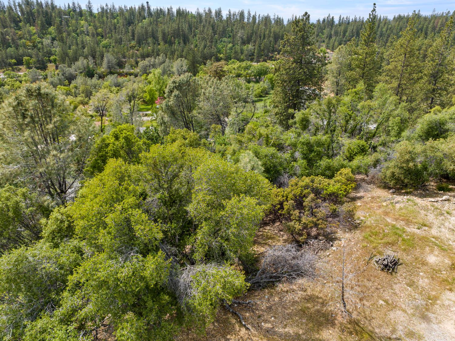 329 Cuckoo Court Applegate, CA 95703 - Photo 25 of 29