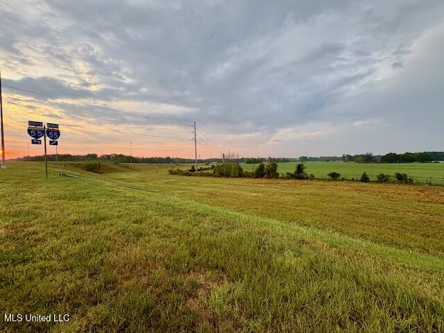 0 Shands Bottom Road Senatobia, MS 38668 - Photo 3 of 5 IMG_0329