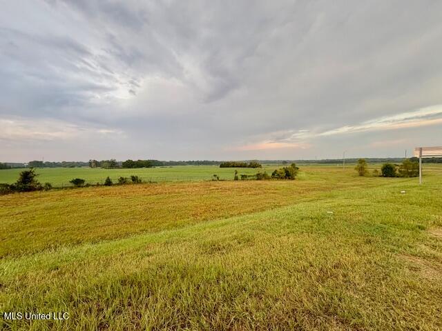 0 Shands Bottom Road Senatobia, MS 38668 - Photo 5 of 5 IMG_0331