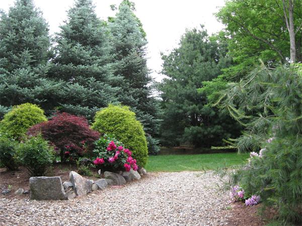Lot 2 York Road Winchester, MA 01890 - Photo 2 of 2 Gallery Image 2