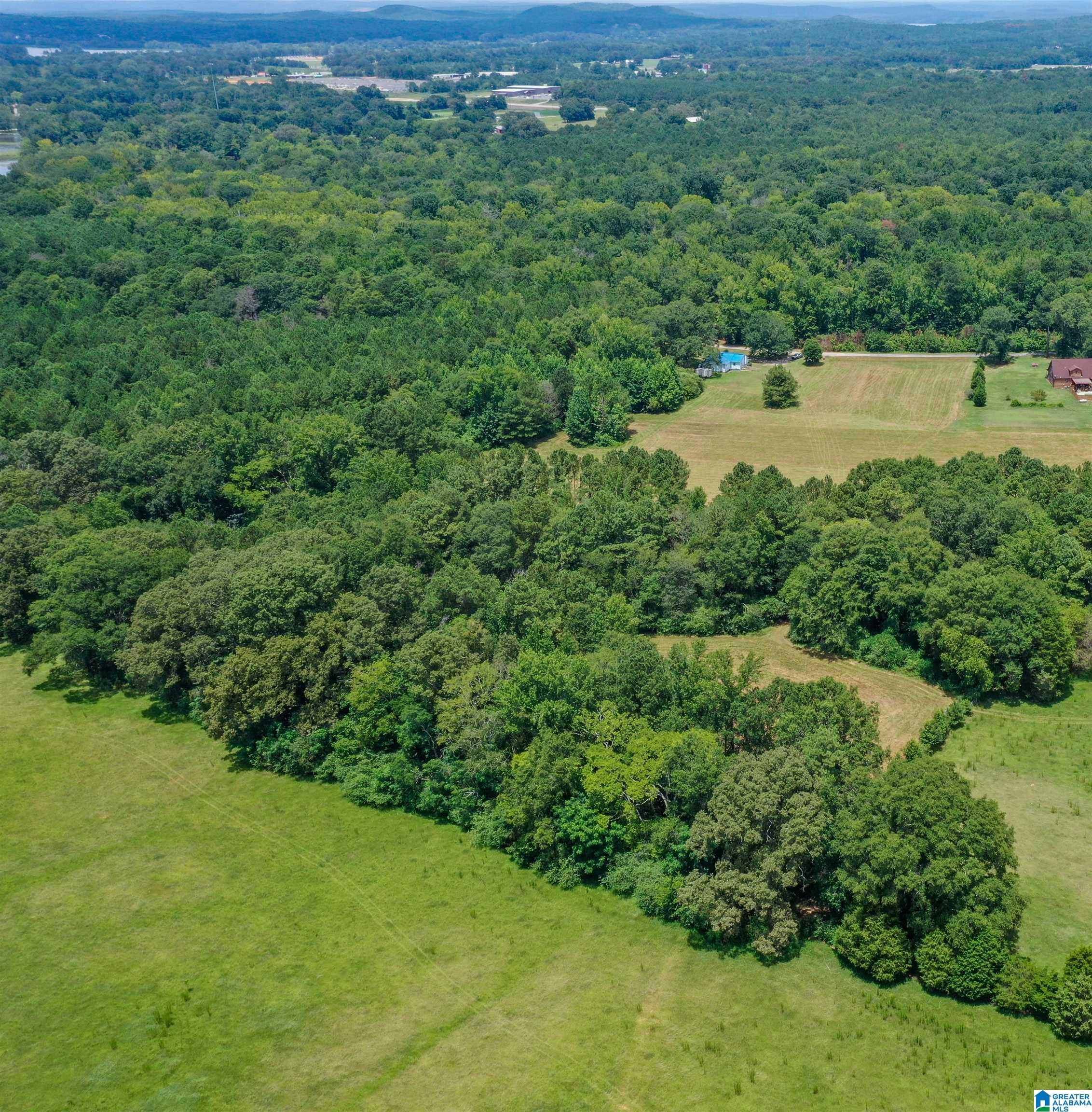 1675 Blue Eye Springs Road Lincoln, AL 35096 - Photo 52 of 60