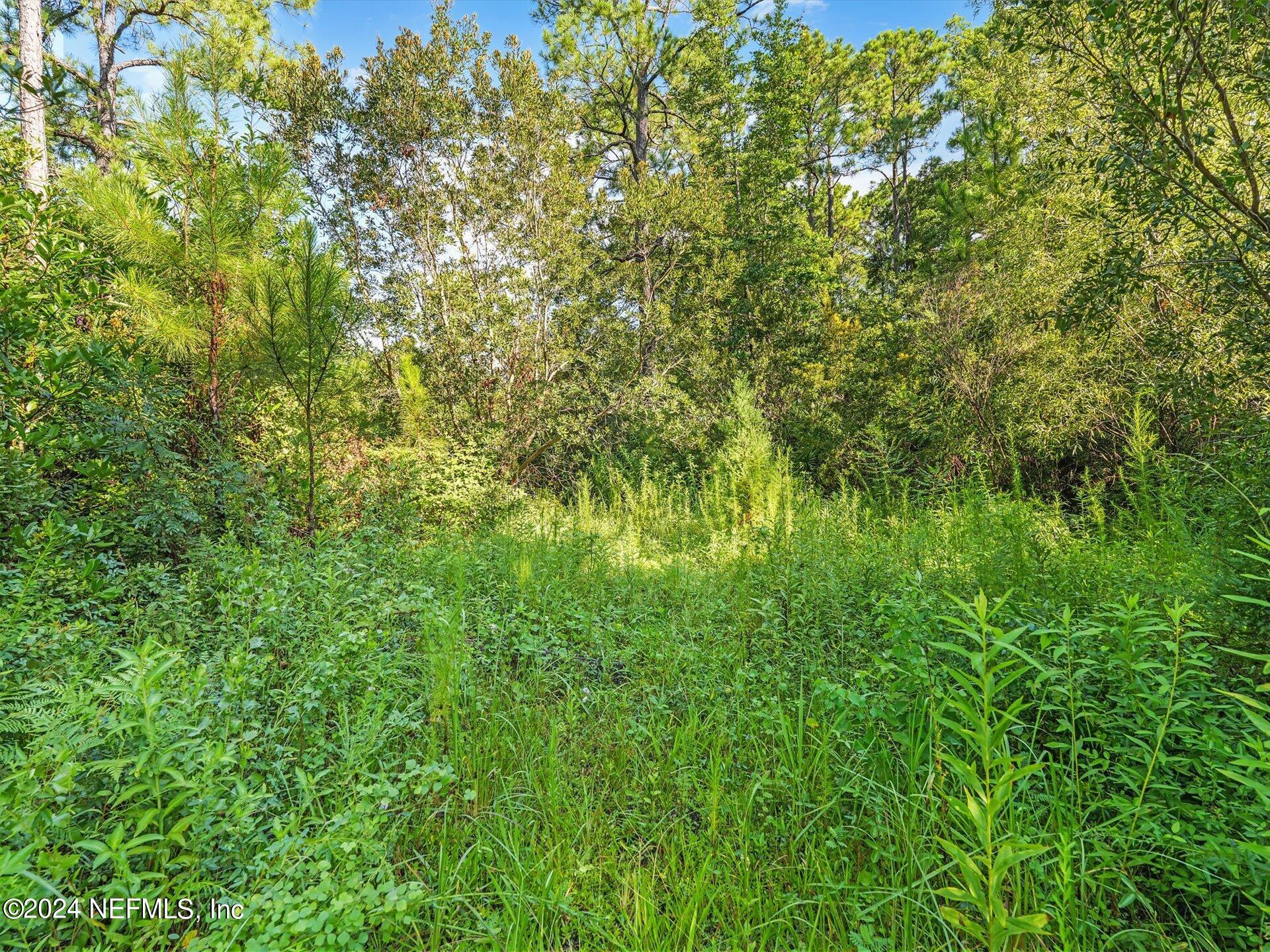 0 Water Oak Road Yulee, FL 32097 - Photo 14 of 17 04-AR505752