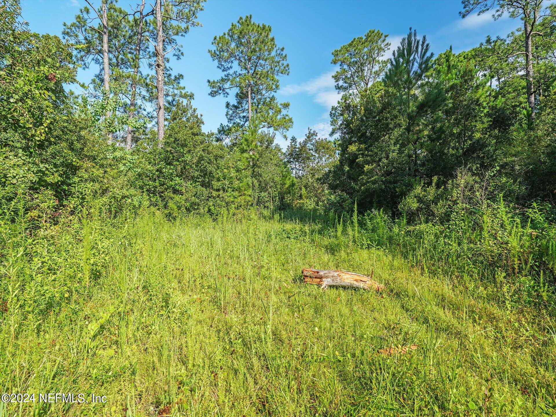 0 Water Oak Road Yulee, FL 32097 - Photo 15 of 17 03-AR505748