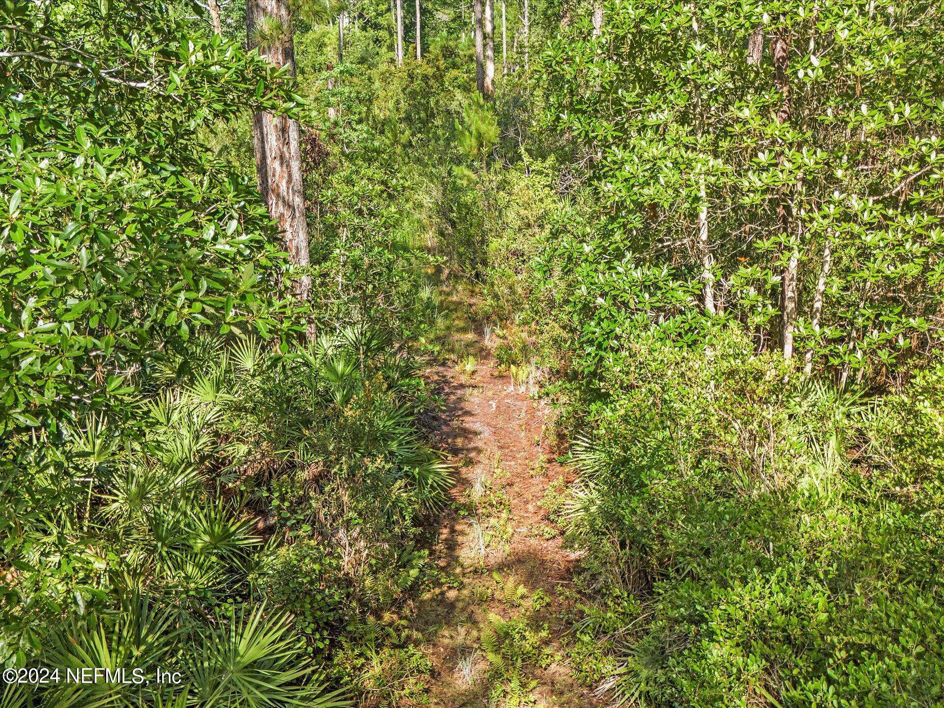 0 Water Oak Road Yulee, FL 32097 - Photo 2 of 17 17-DJI_20240719100817_0668_D