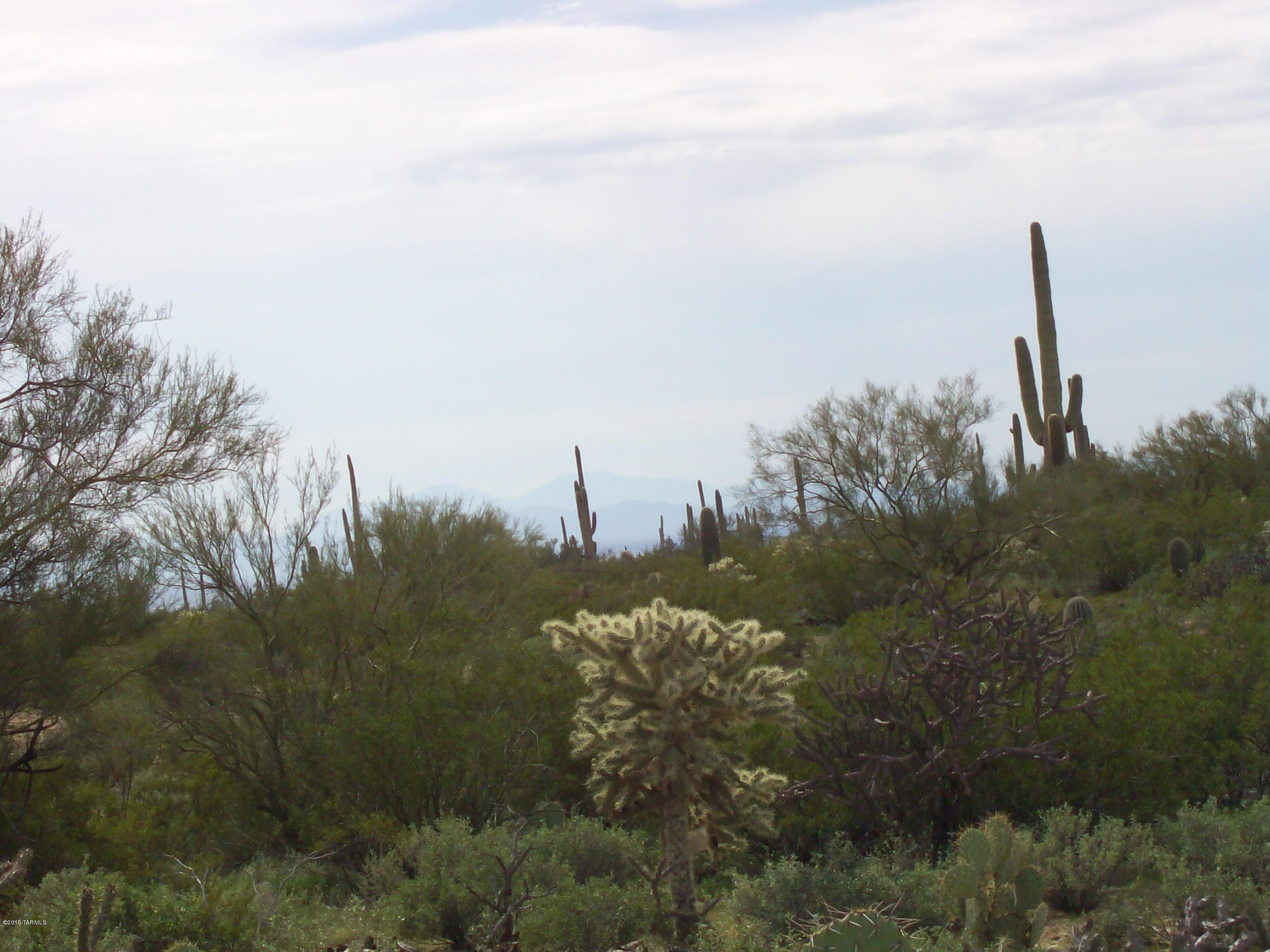 0 Derrio Road Marana, AZ 85658 - Photo 7 of 14