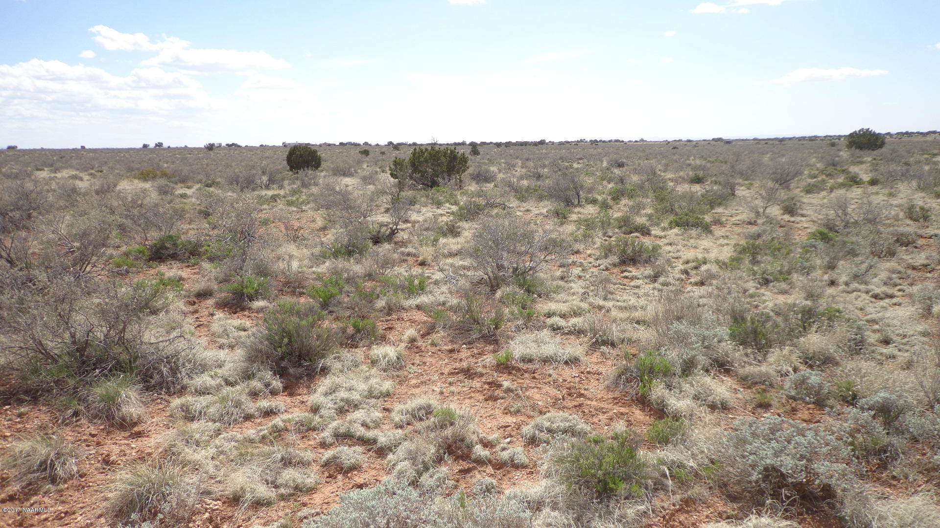 4298 North Alta Villa Road Williams, AZ 86046 - Photo 1 of 13 DSC03201