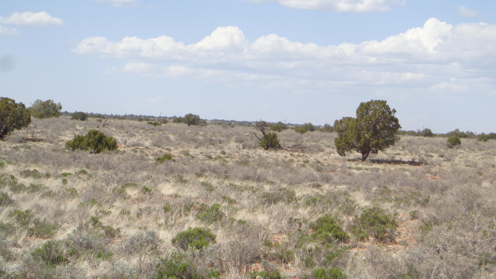 4298 North Alta Villa Road Williams, AZ 86046 - Photo 8 of 13 DSC03206