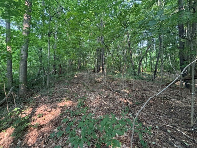 Maple Ridge Road Arcadia, NY 14513 - Photo 26 of 37