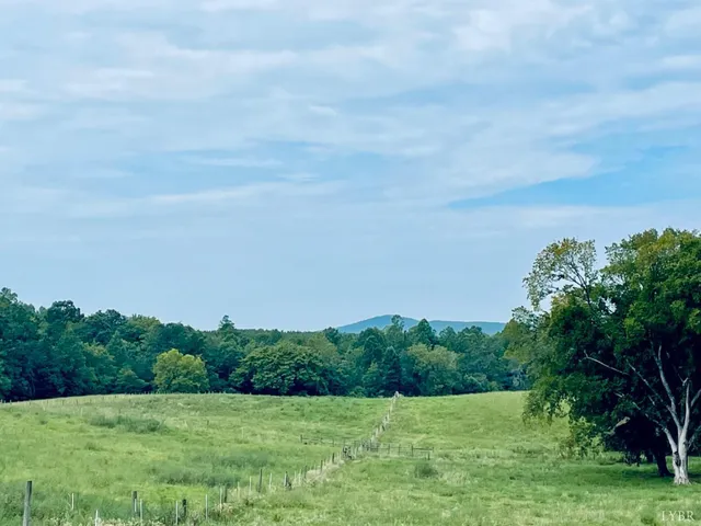 a view of a grassy field with trees in the background
