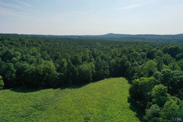 an aerial view of green landscape with trees