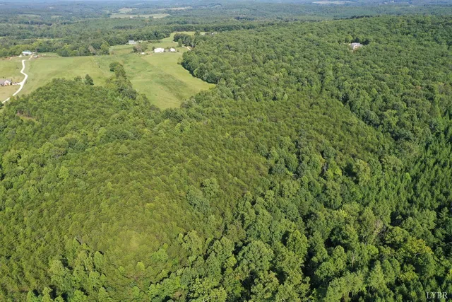 a view of a big yard with large trees