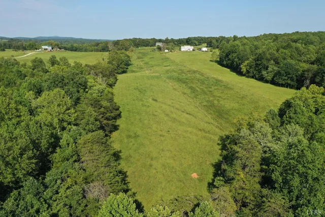 a view of a tree in a yard