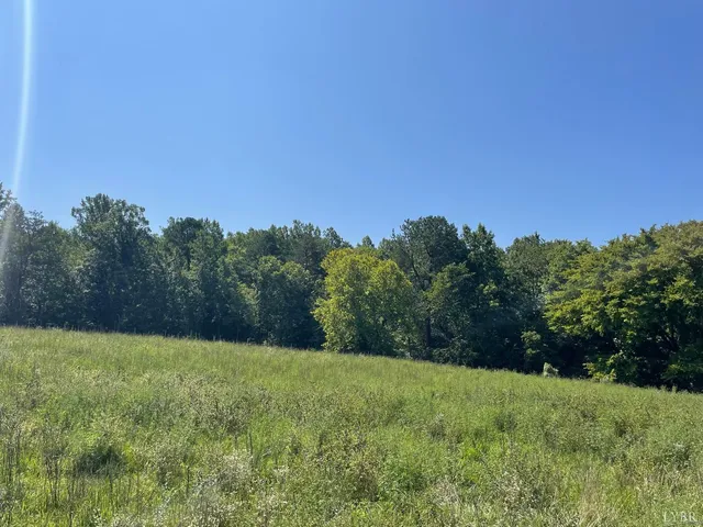 a view of a big yard with a house in the background