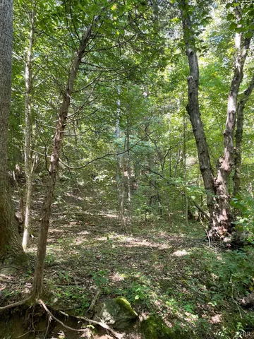 $160,000 | 0 Tin Top Place, Concord, VA 24538