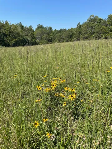 a view of lake with green landscape