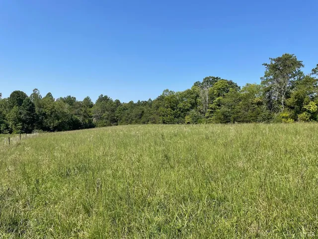 a view of a field with a tree in the background