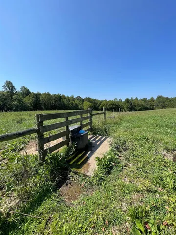a view of park with bench and trees