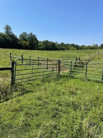 a view of park with bench and trees