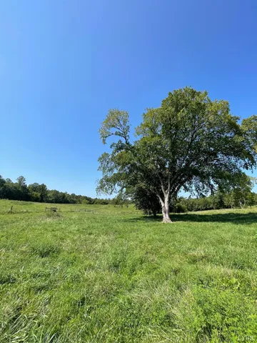 a view of a field of grass and trees
