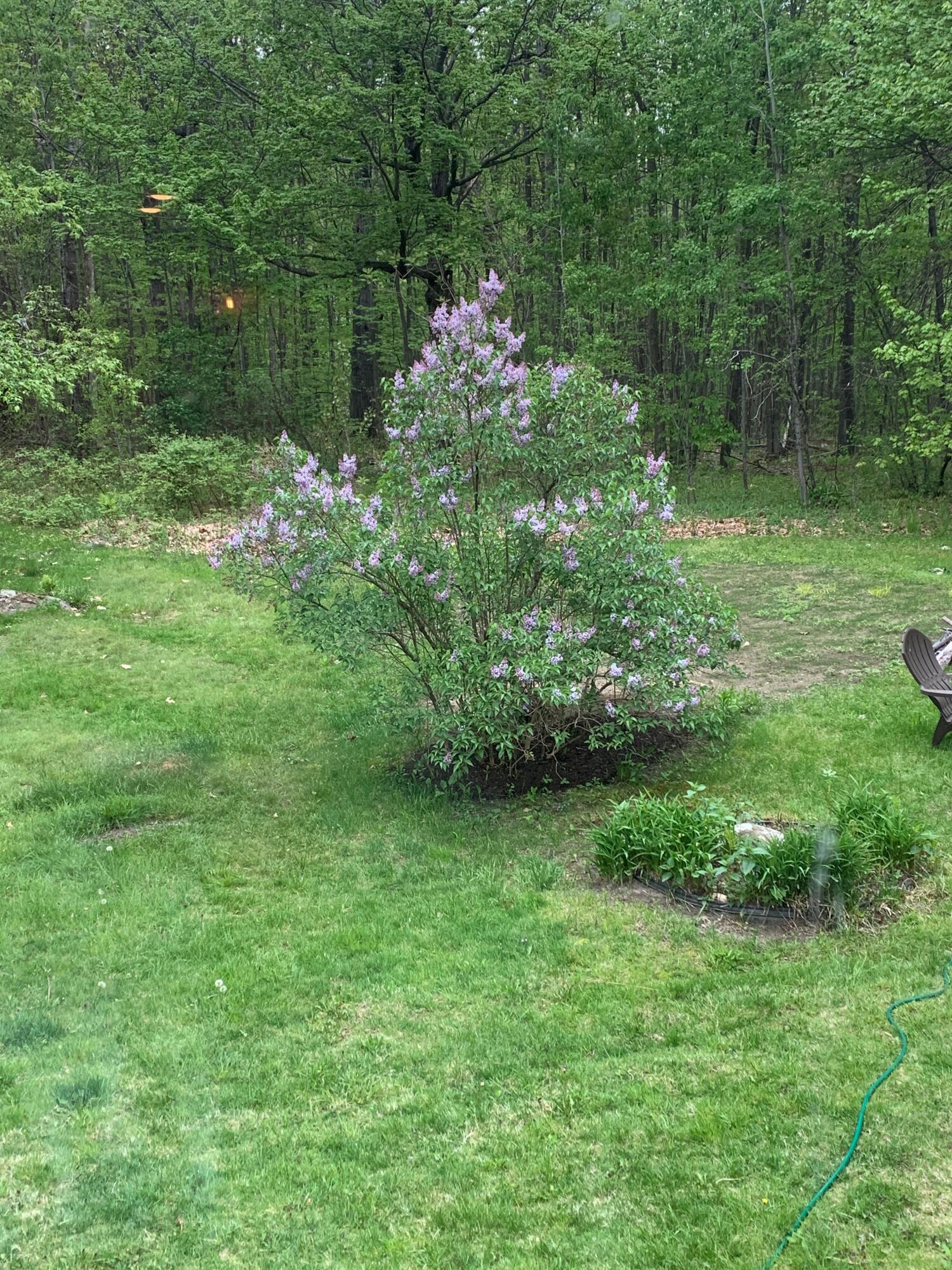 235 Ossipee Hill Road Waterboro, ME 04030 - Photo 4 of 48 61213769281__D043DE82-6556-4FF3-ACDC-76B