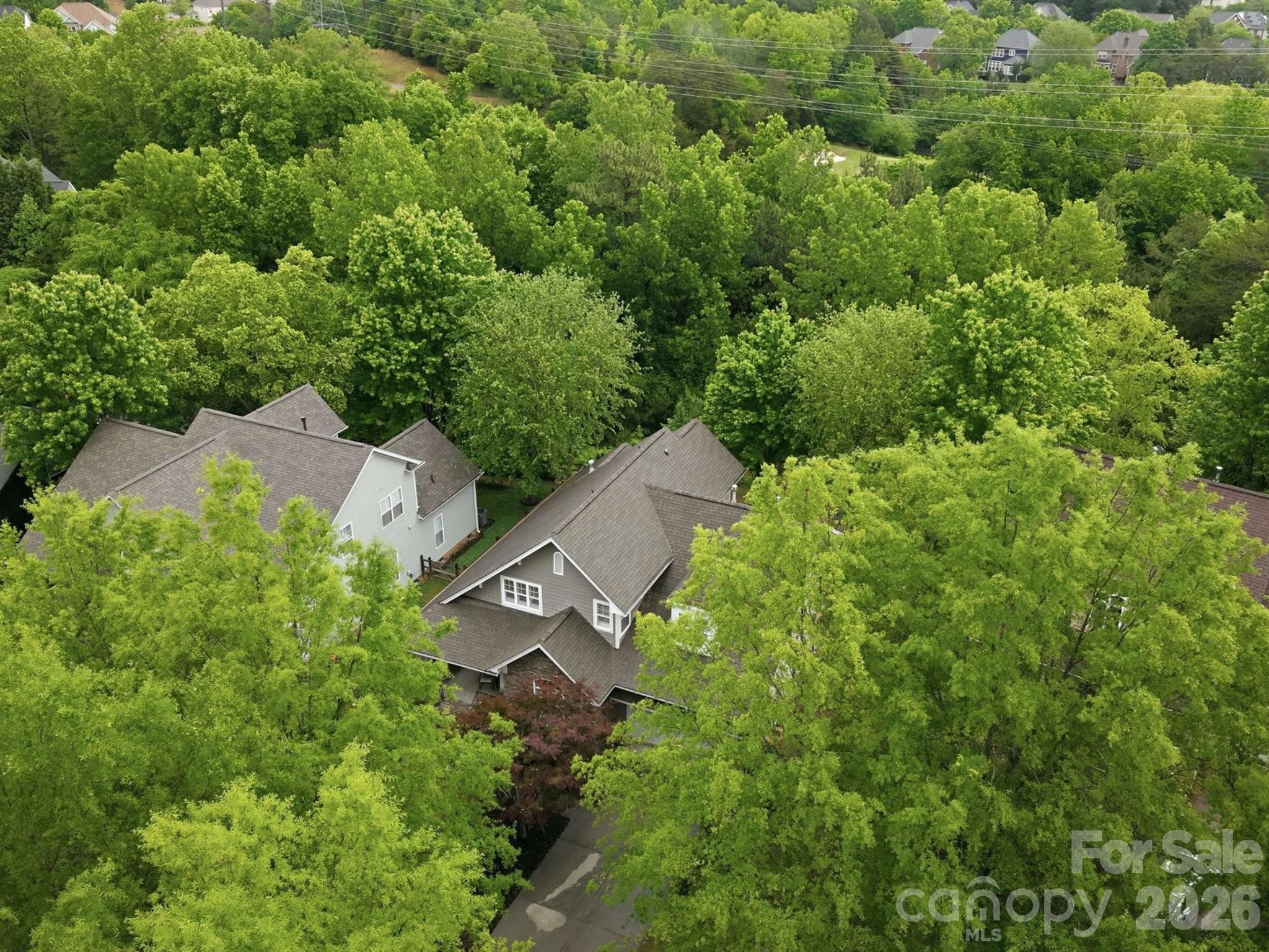 1177 Windsong Bay Lane Tega Cay, SC 29708 - Photo 36 of 48