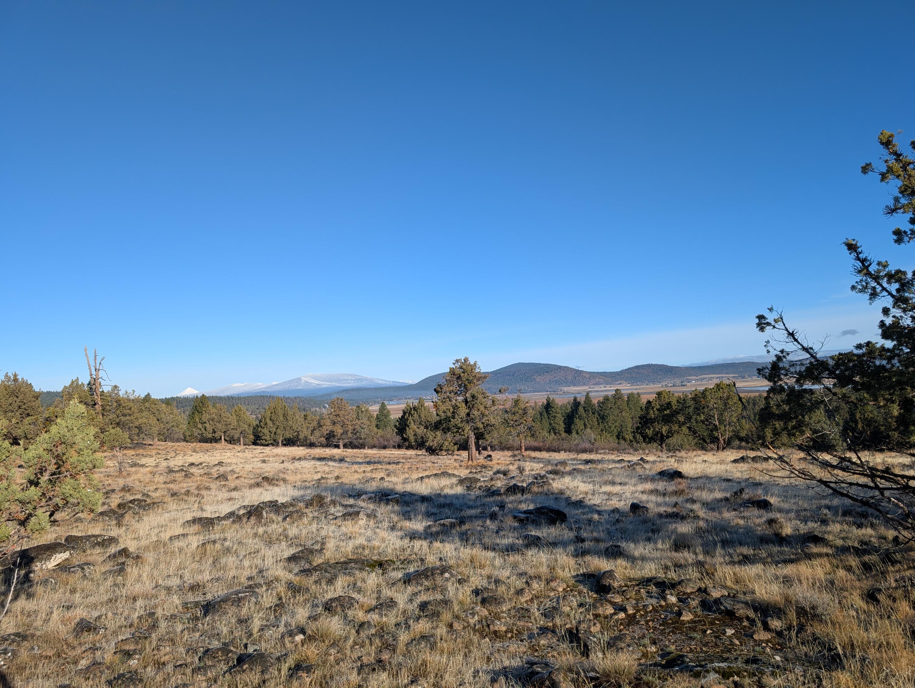 Cedar Trail Klamath Falls, OR 97603 - Photo 11 of 24 PXL_20251027_162010009