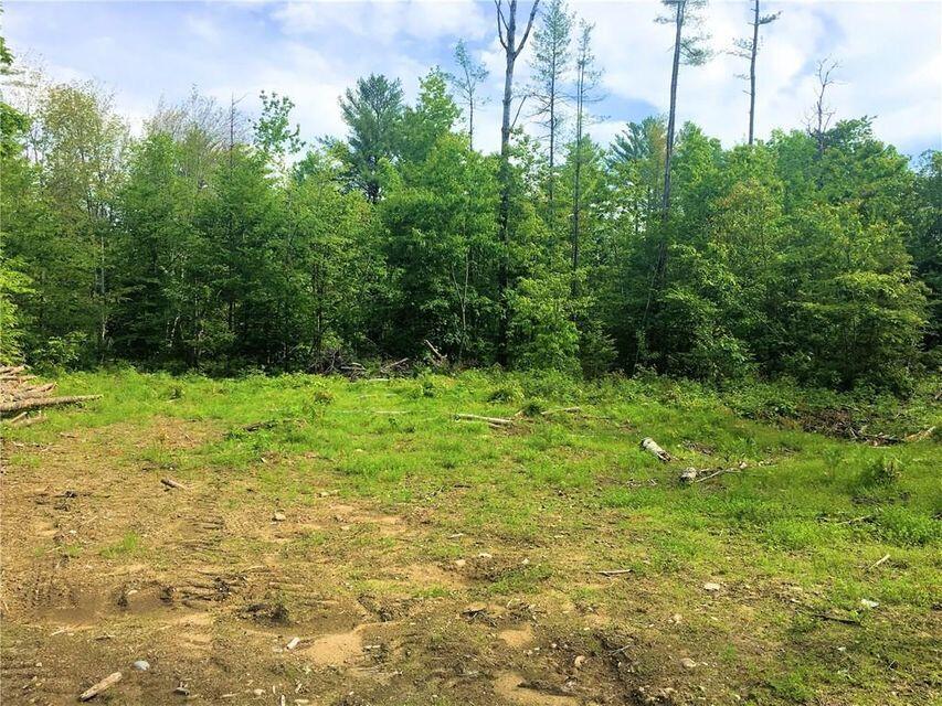 Tbd Kezar Mountain Road Parsonsfield, ME 04047 - Photo 6 of 19 20180818021406643880000000-o