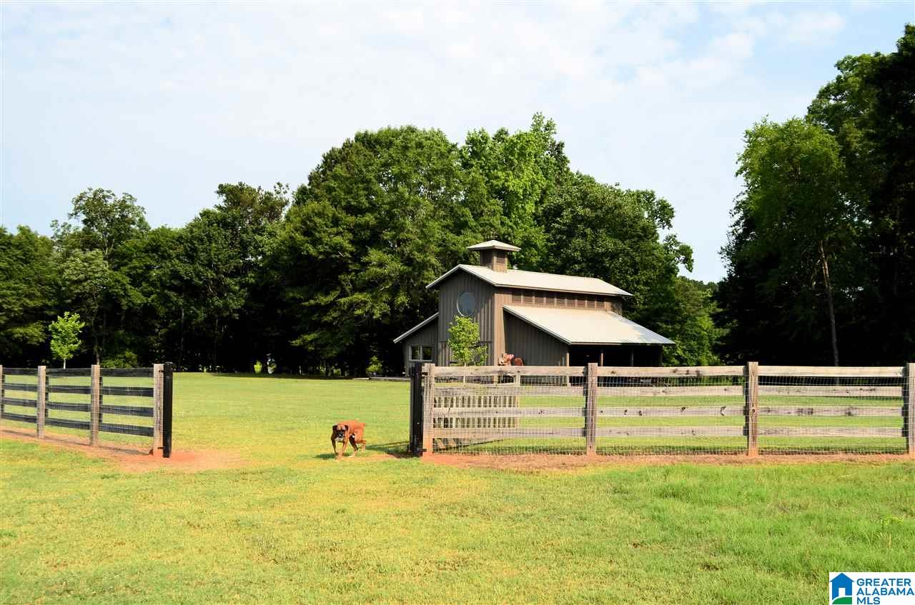 4683 Mcgowans Ferry Road Childersburg, AL 35044 - Photo 44 of 46