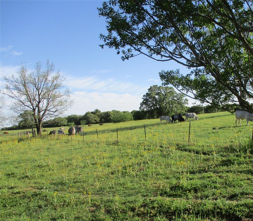 1414 HCR 1414 Covington, TX 76636 - Photo 2 of 10 a view of a green field with wooden fence