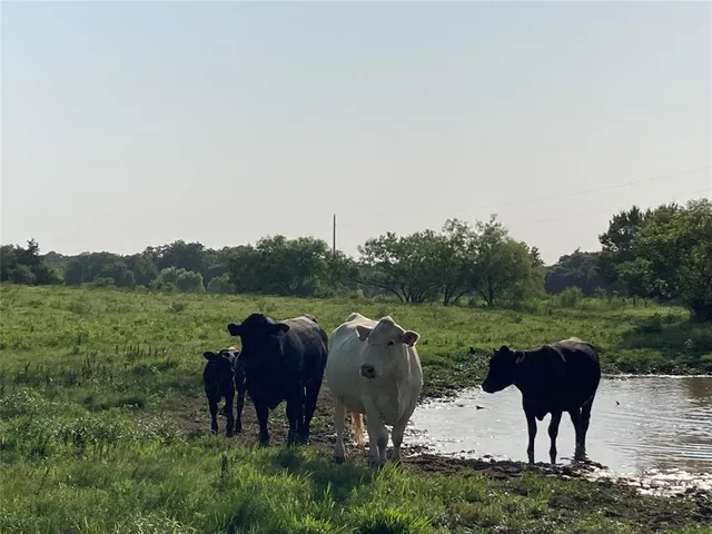 a view of a chairs and table on the deck