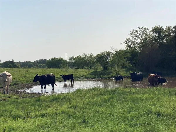 $245,000 | 1414 HCR 1414, Covington, TX 76636